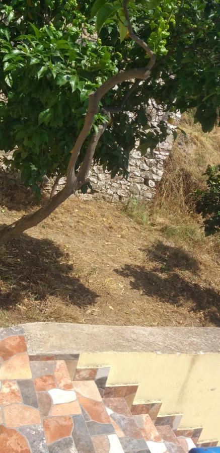Holidays In Saranda Extérieur photo